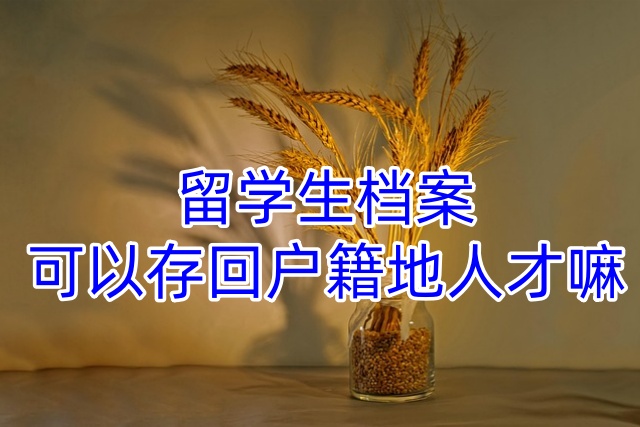 留学生档案可以存回户籍地人才嘛