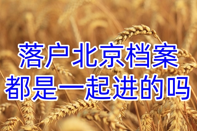 落户北京档案都是一起进的吗