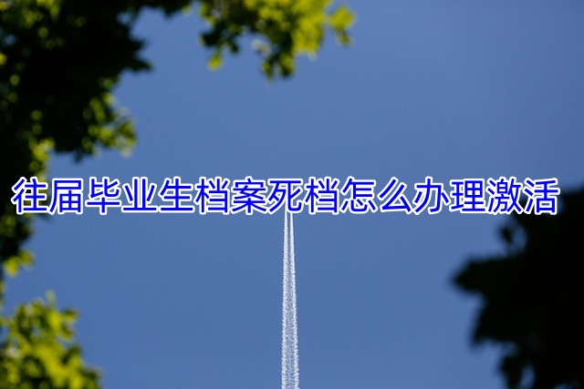 往届毕业生档案死档怎么办理激活
