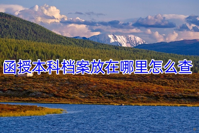 函授本科档案放在哪里怎么查