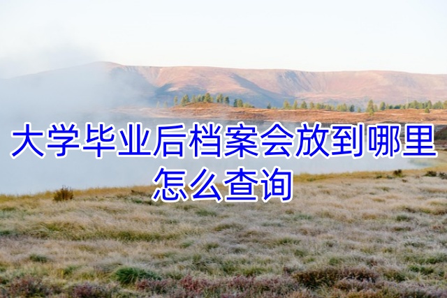 大学毕业后档案会放到哪里，怎么查询
