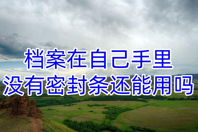 档案在自己手里没有密封条还能用吗