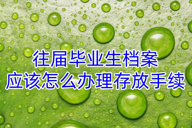 往届毕业生档案应该怎么办理存放手续