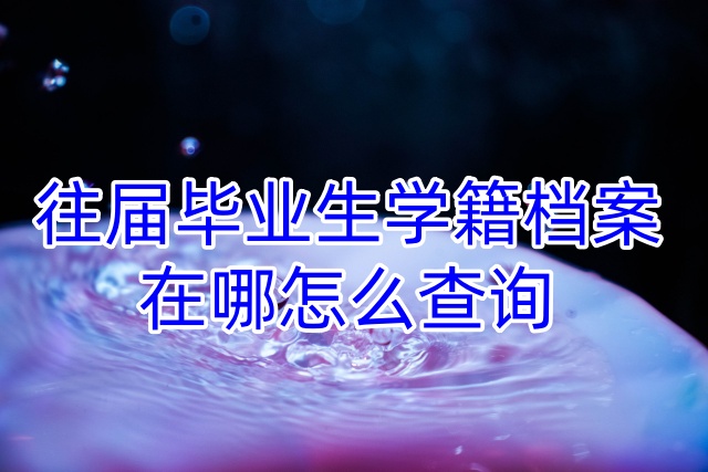 往届毕业生学籍档案在哪怎么查询