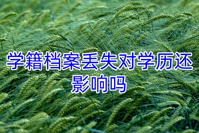 学籍档案丢失对学历还影响吗