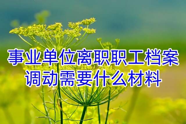 事业单位离职职工档案调动需要什么材料