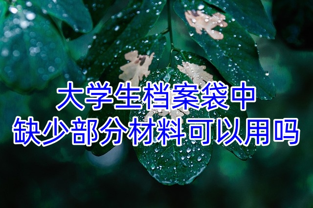 大学生档案袋中缺少部分材料可以用吗