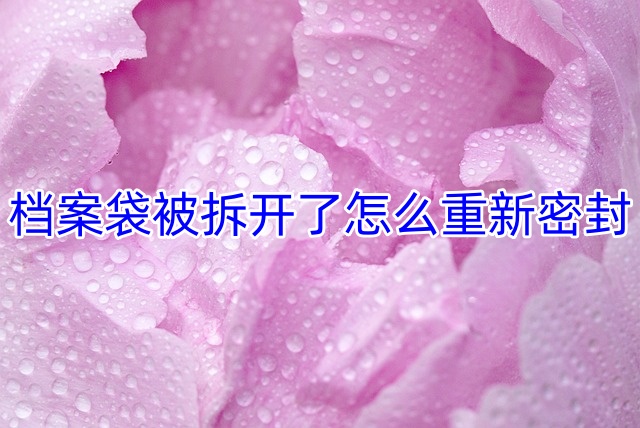 档案袋被拆开了怎么重新密封