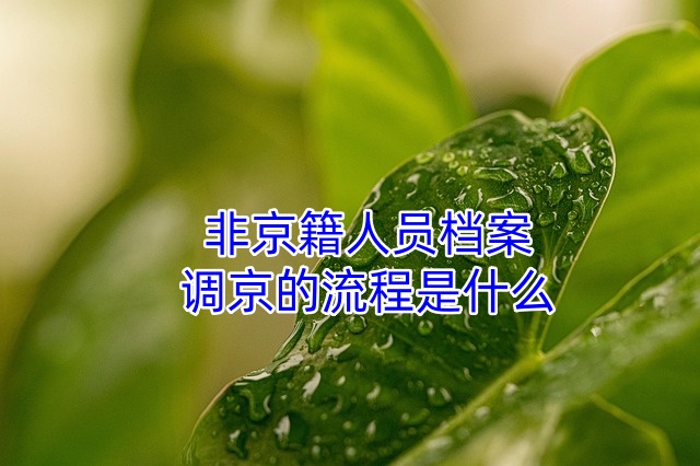 非京籍人员档案调京的流程是什么