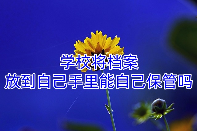 学校将档案放到自己手里能自己保管吗
