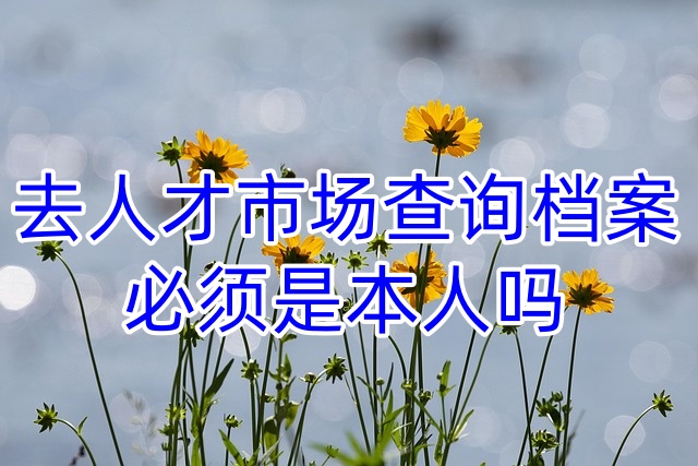 去人才市场查询档案必须是本人吗