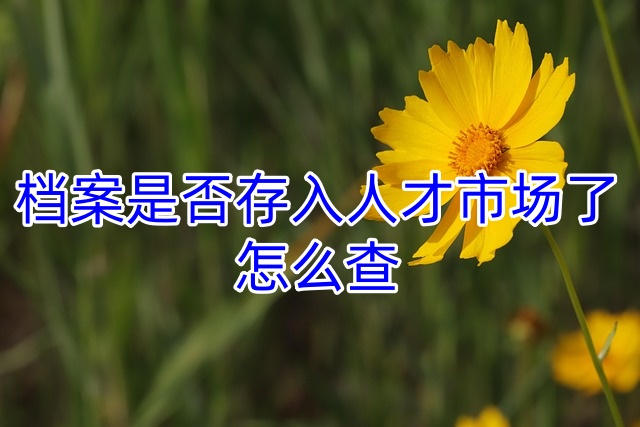 档案是否存入人才市场了怎么查
