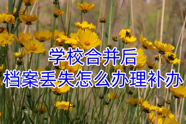 学校合并后，档案丢失怎么办理补办