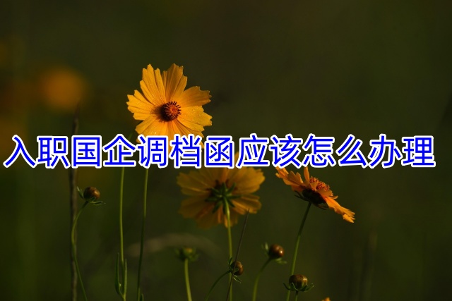 入职国企调档函应该怎么办理