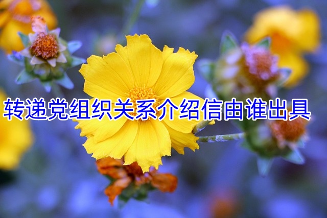 转递党组织关系介绍信由谁出具