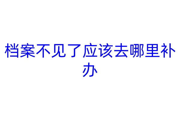 档案不见了应该去哪里补办