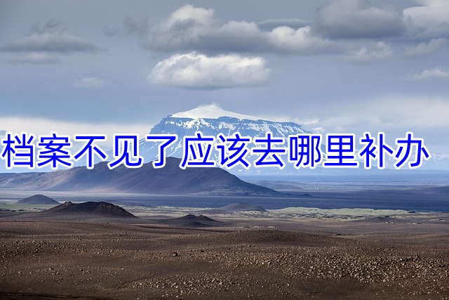 档案不见了应该去哪里补办
