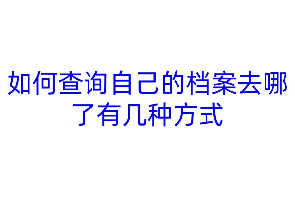 如何查询自己的档案去哪了，有几种方式