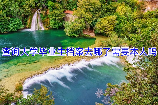 查询大学毕业生档案去哪了需要本人吗