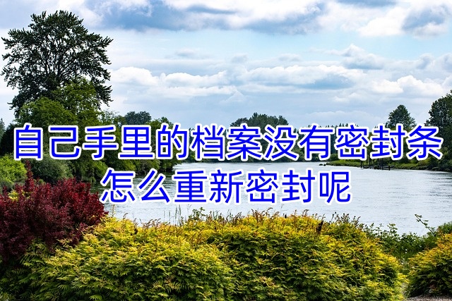 自己手里的档案没有密封条，怎么重新密封呢