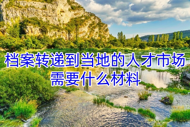 档案转递到当地的人才市场需要什么材料