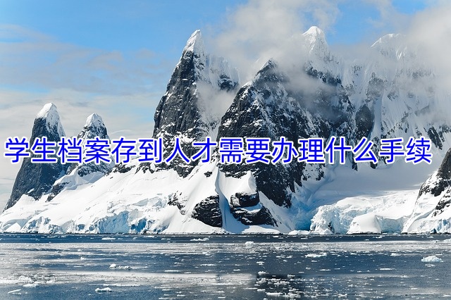 学生档案存到人才需要办理什么手续