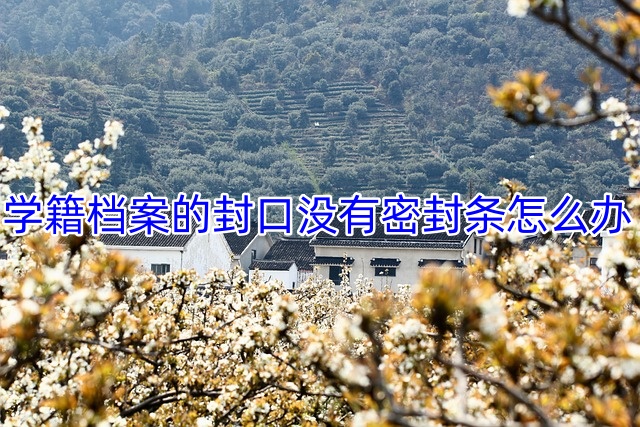学籍档案的封口没有密封条怎么办
