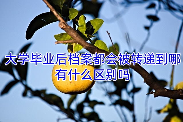 大学毕业后档案都会被转递到哪，有什么区别吗
