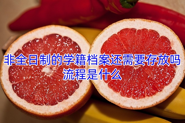 非全日制的学籍档案还需要存放吗，流程是什么
