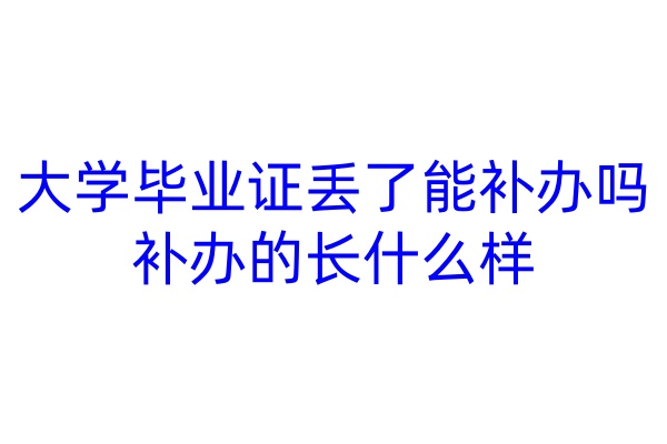 大学毕业证丢了能补办吗，补办的长什么样