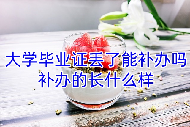 大学毕业证丢了能补办吗，补办的长什么样