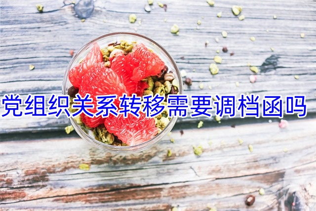 党组织关系转移需要调档函吗