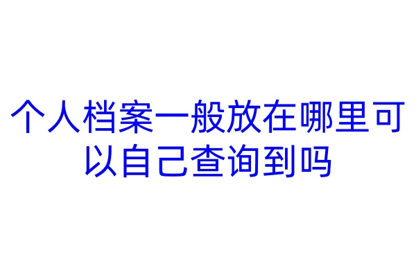 个人档案一般放在哪里可以自己查询到吗