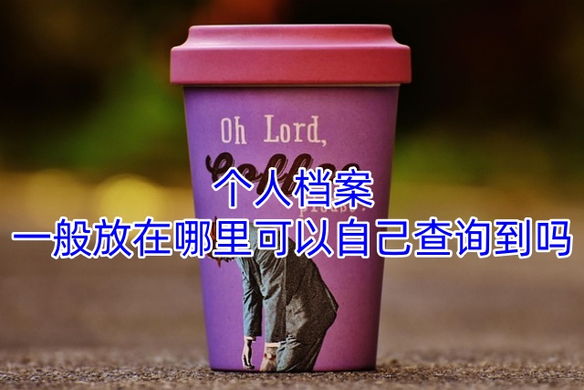 个人档案一般放在哪里可以自己查询到吗