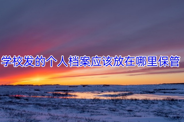 学校发的个人档案应该放在哪里保管