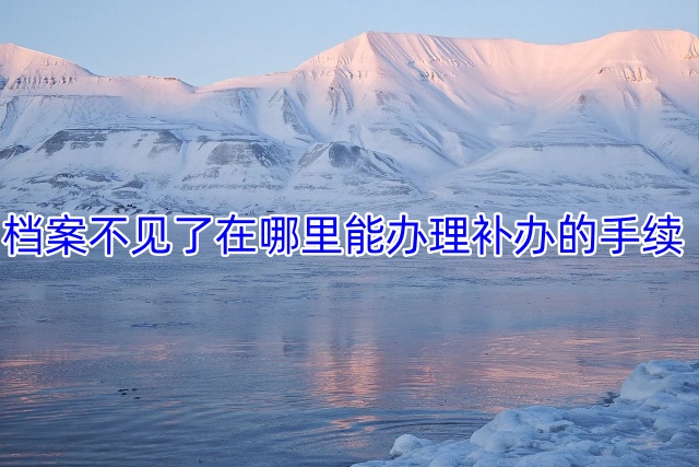 档案不见了在哪里能办理补办的手续