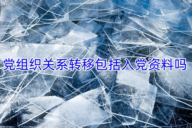 党组织关系转移包括入党资料吗