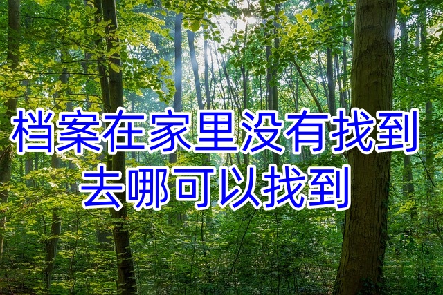 档案在家里没有找到，去哪可以找到