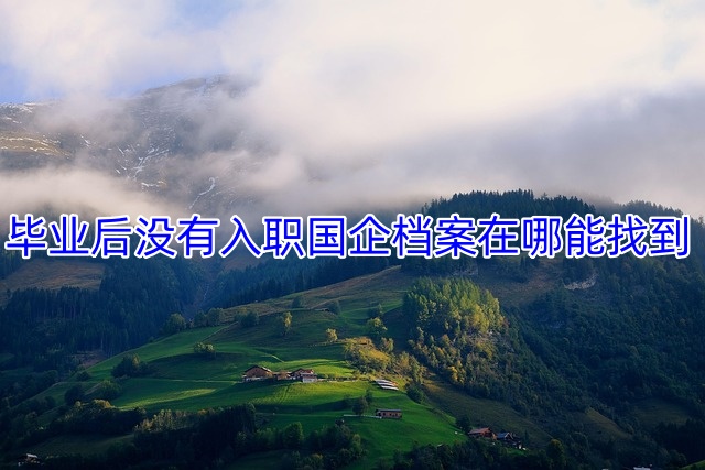 毕业后没有入职国企档案在哪能找到