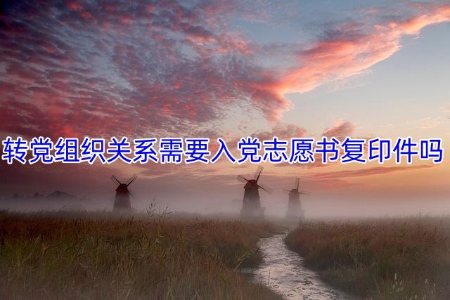 转党组织关系需要入党志愿书复印件吗