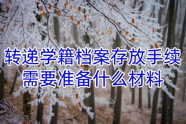 转递学籍档案存放手续需要准备什么材料