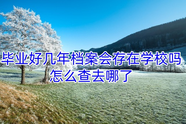毕业好几年档案会存在学校吗，怎么查去哪了