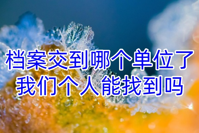 档案交到哪个单位了，我们个人能找到吗