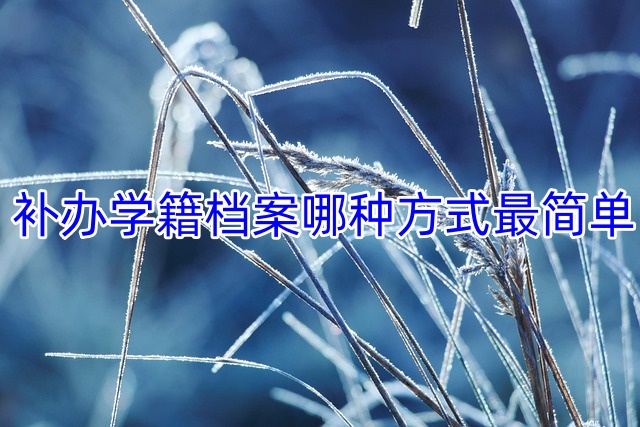 补办学籍档案哪种方式最简单
