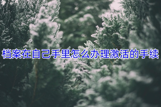档案在自己手里怎么办理激活的手续