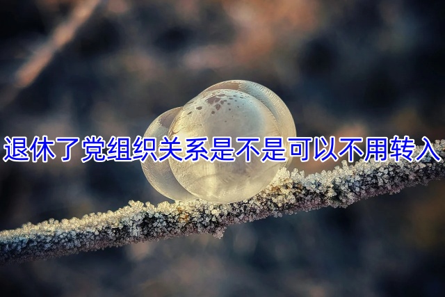 退休了党组织关系是不是可以不用转入