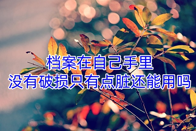 档案在自己手里没有破损只有点脏还能用吗