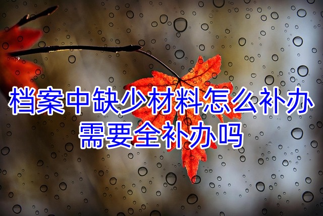 档案中缺少材料怎么补办，需要全补办吗