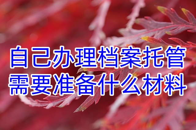 自己办理档案托管需要准备什么材料