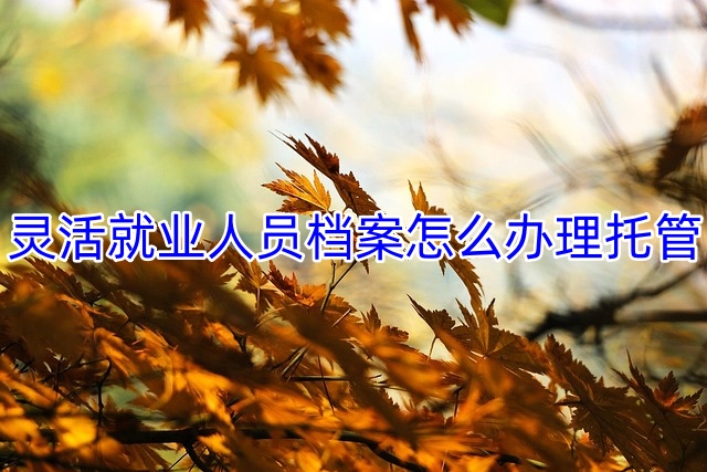 灵活就业人员档案怎么办理托管